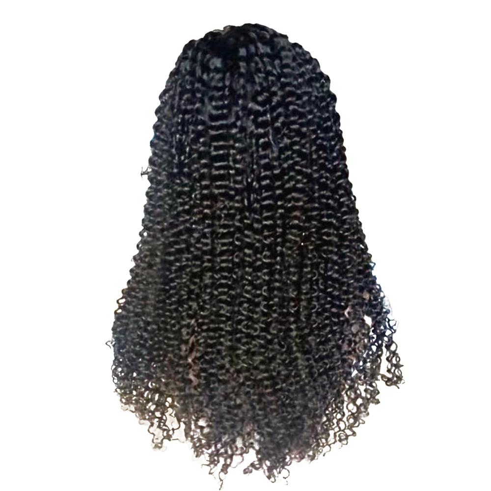 Kinky Curly Wig